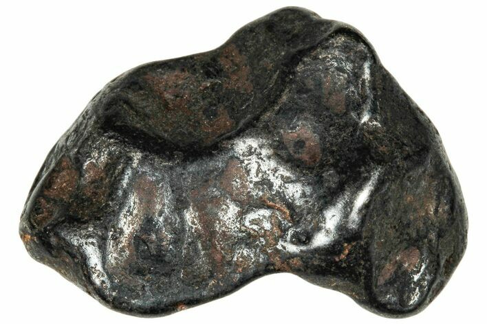 Agoudal Iron Meteorite ( g) - Morocco #303932